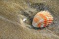 Marine 22_02_09 n03
